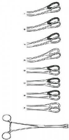 DRESSING & SPONGE FORCEPS